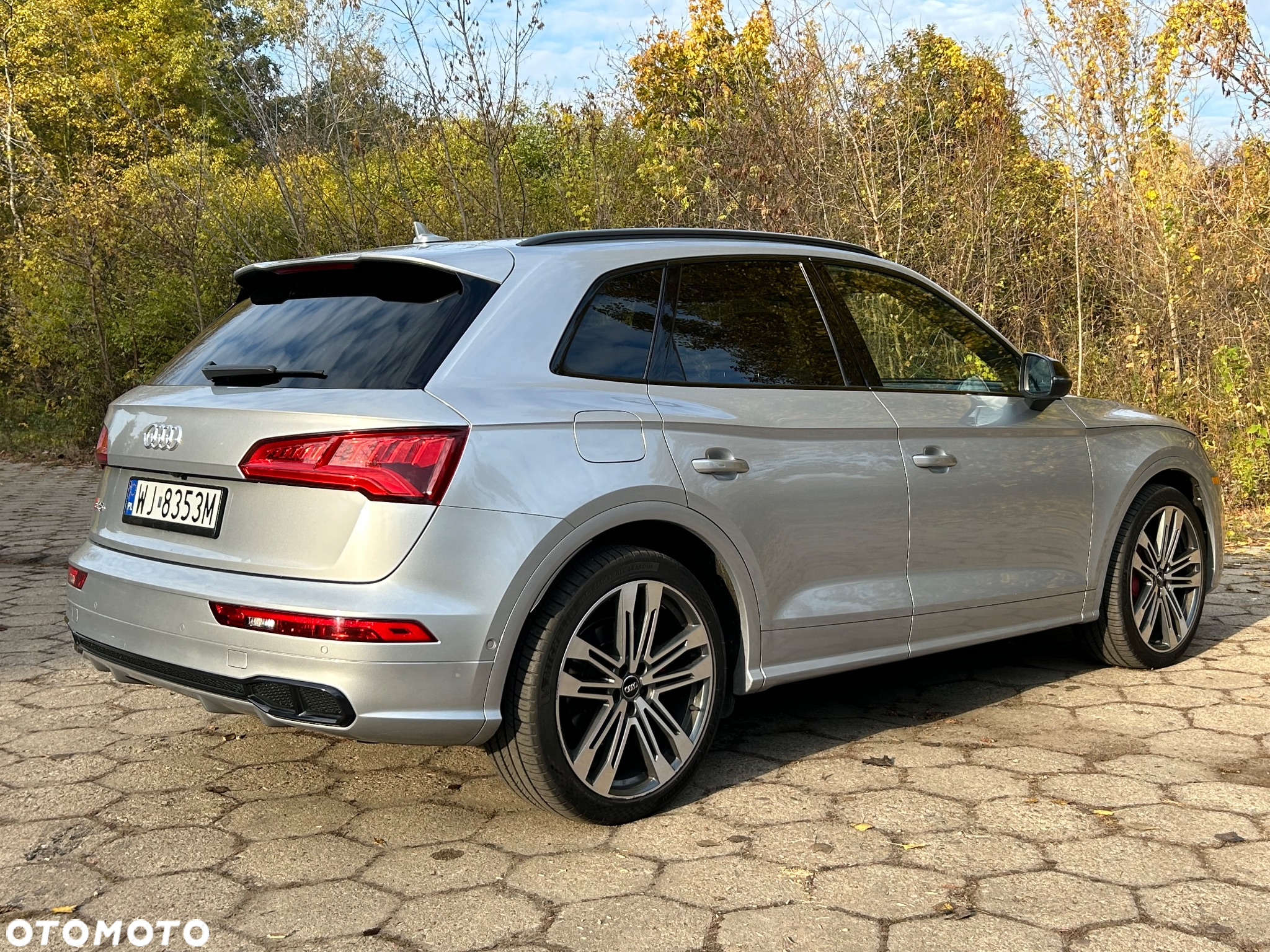 Audi SQ5 3.0 TFSI Quattro Tiptronic - 8