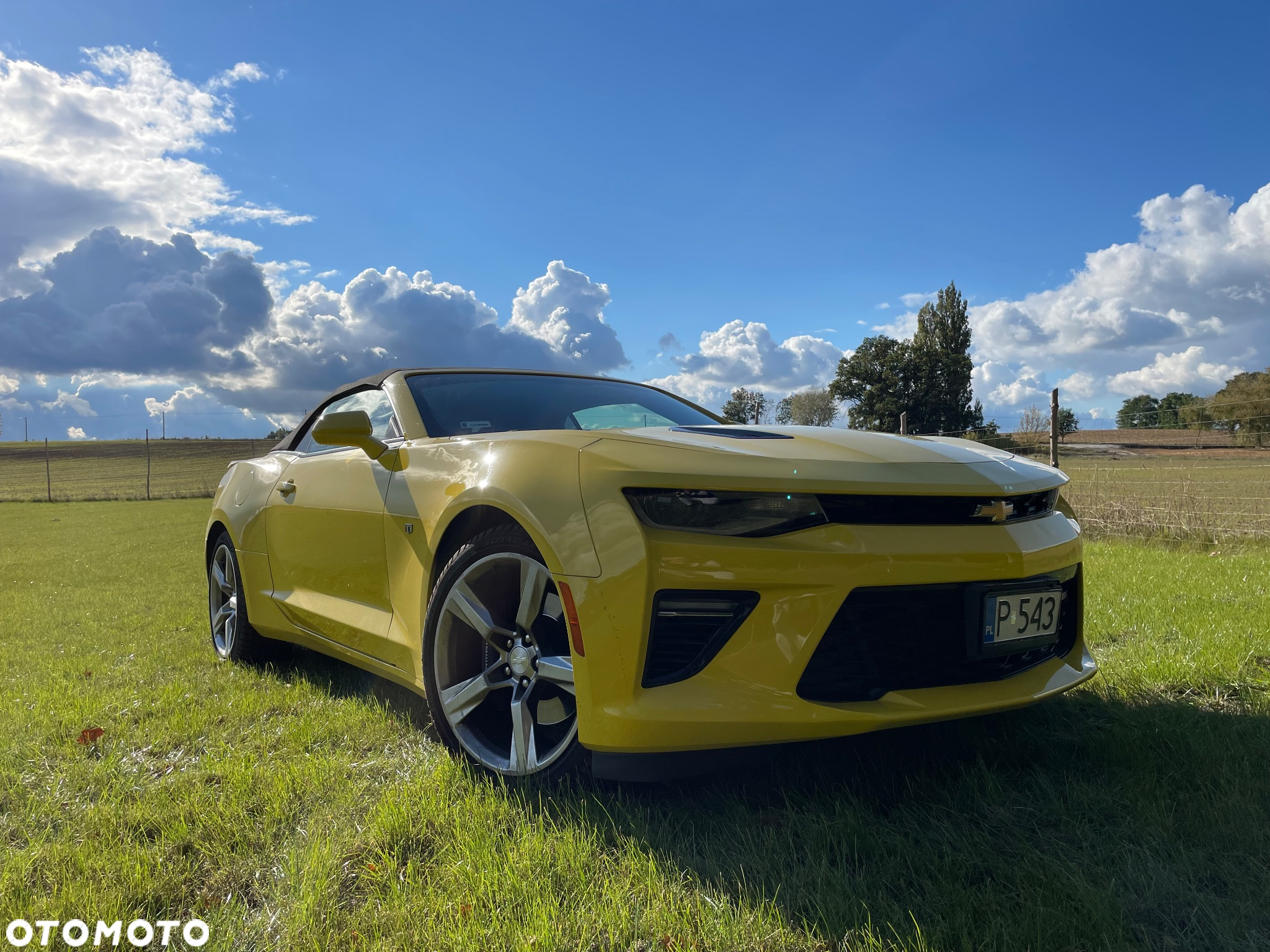 Chevrolet Camaro - 7