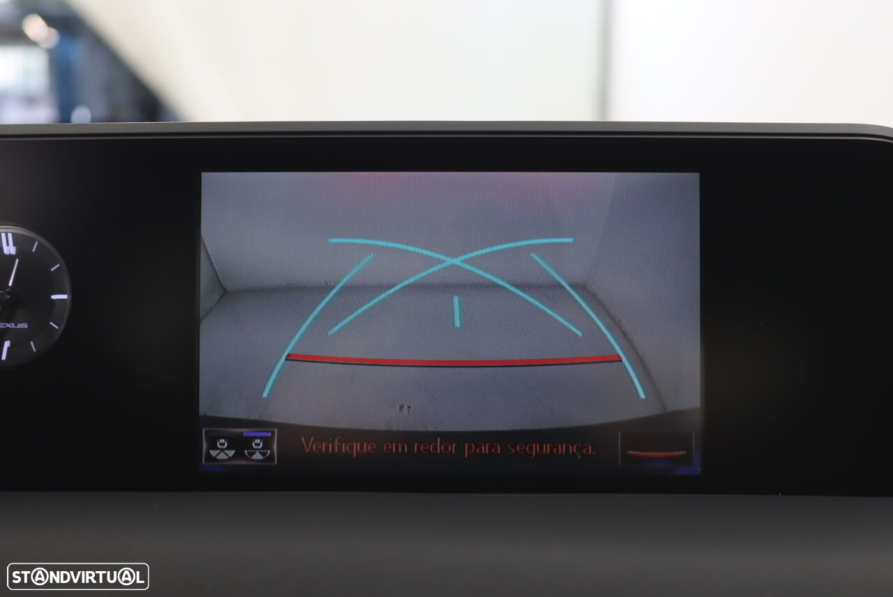 Lexus ux-250h Special Edition (LCA) - 8