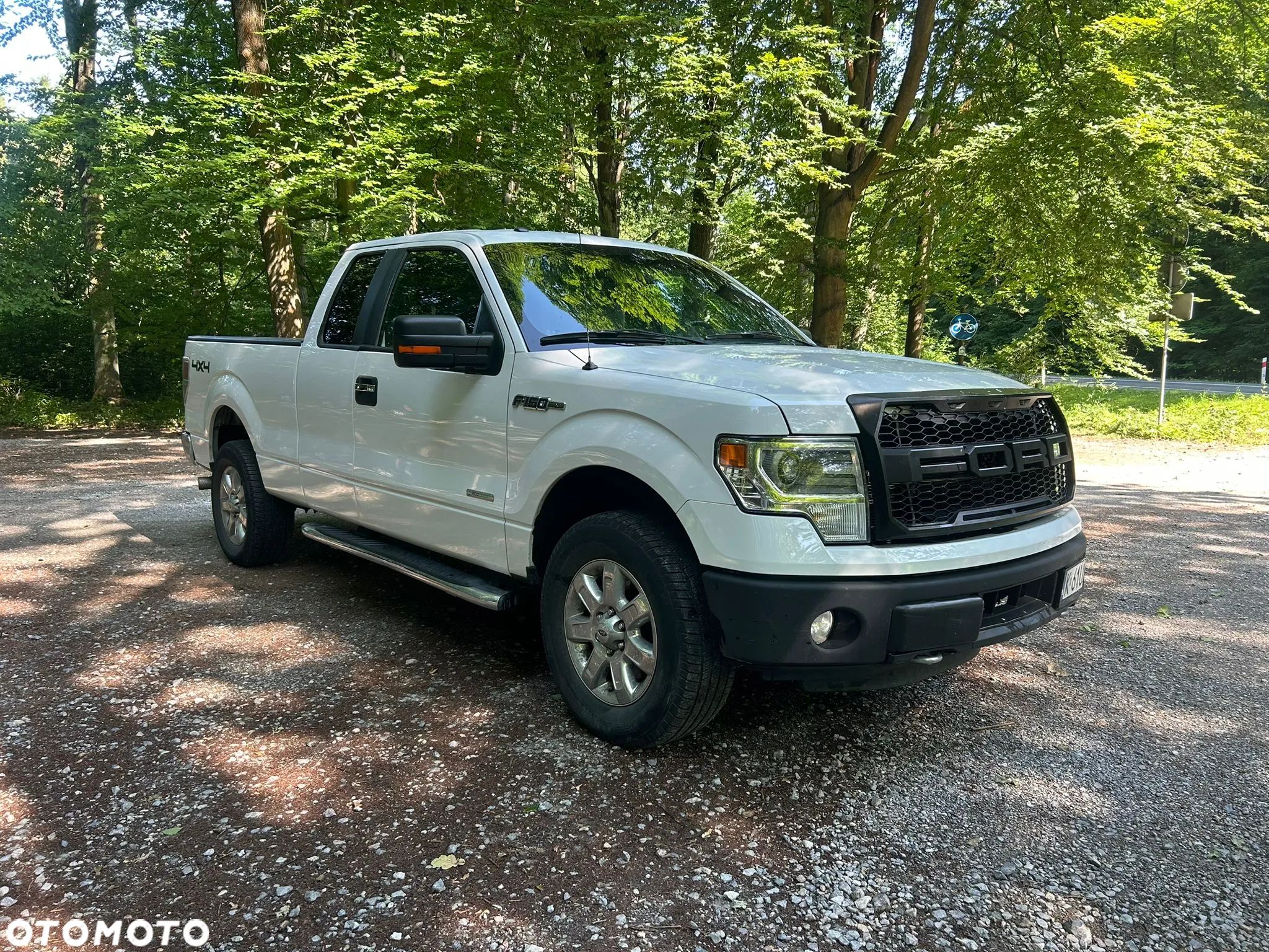 Ford F150 - 1