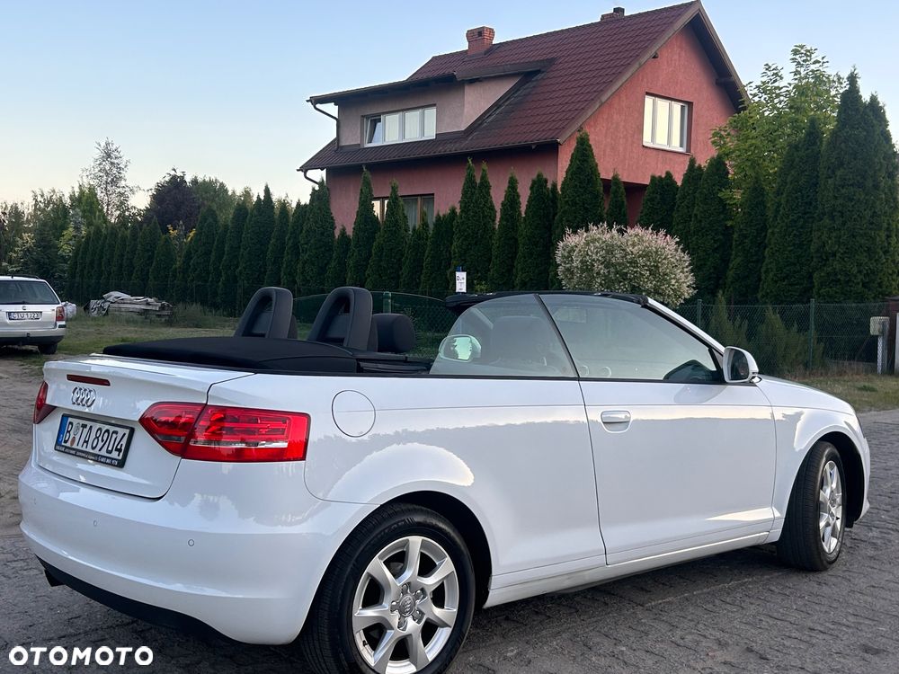 Audi A3 Cabrio 1.6 Ambition - 10