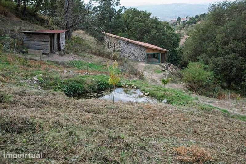Off-grid paradise for sale near Linhares da Beira – Serra da Estrela - Grande imagem: 5/11