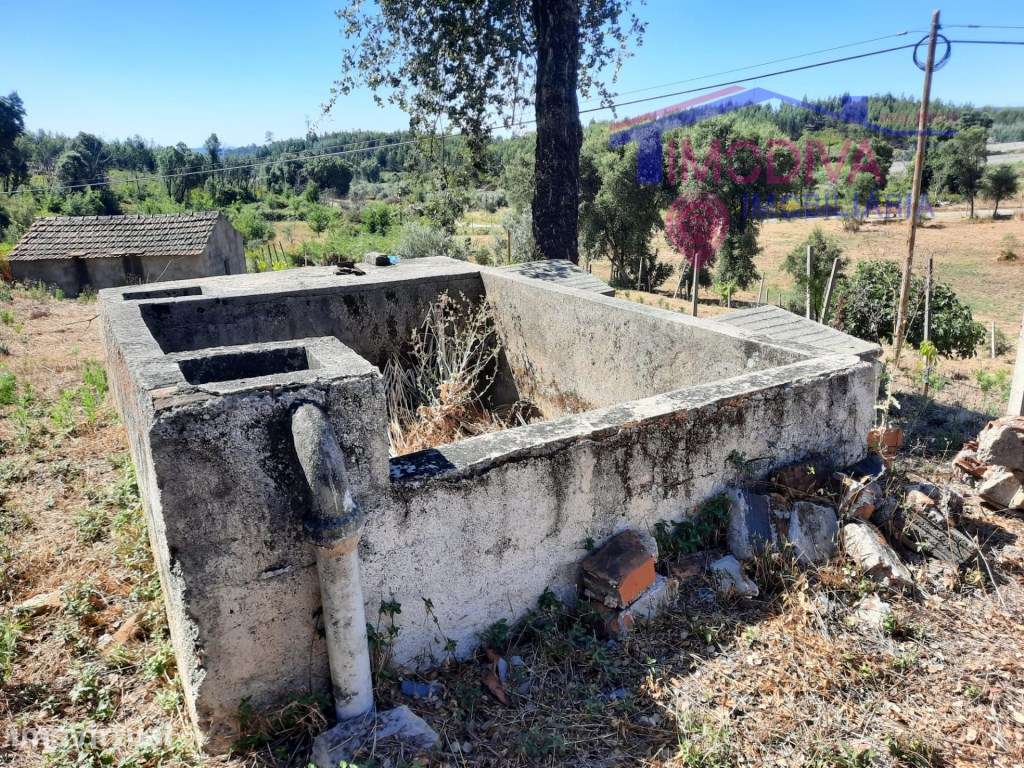 Terreno com ruina e água, em Graça, Pedrógão Grande - Grande imagem: 4/20