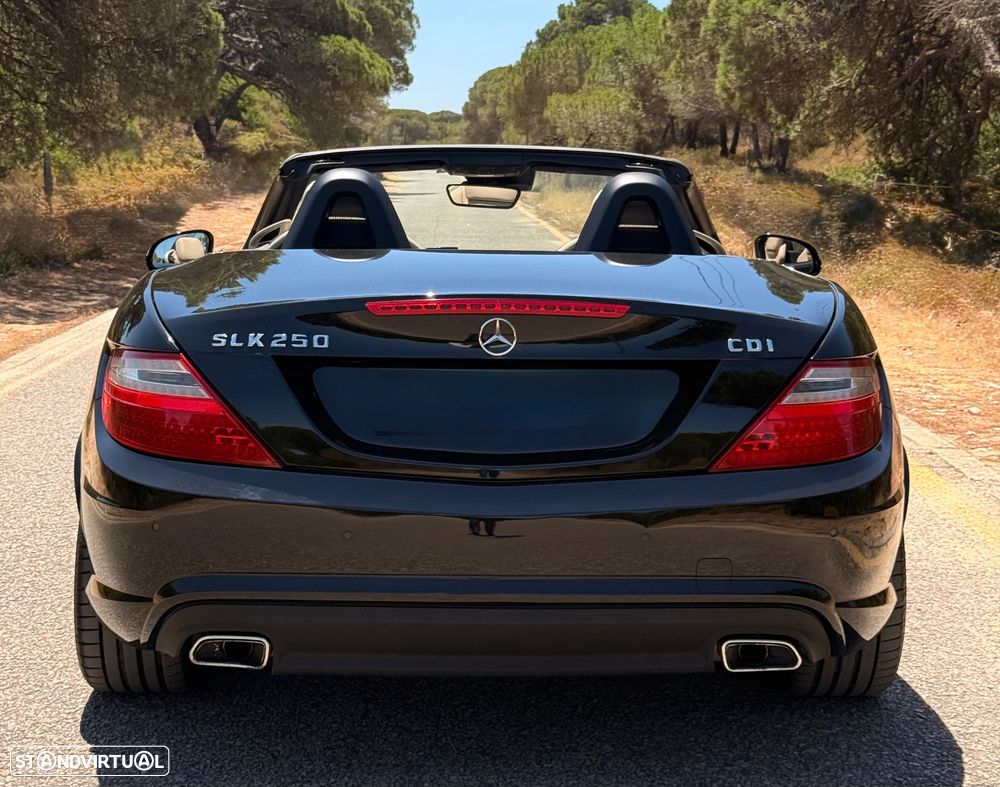 Mercedes-Benz SLK 250 CDI (BlueEFFICIENCY) 7G-TRONIC - 10