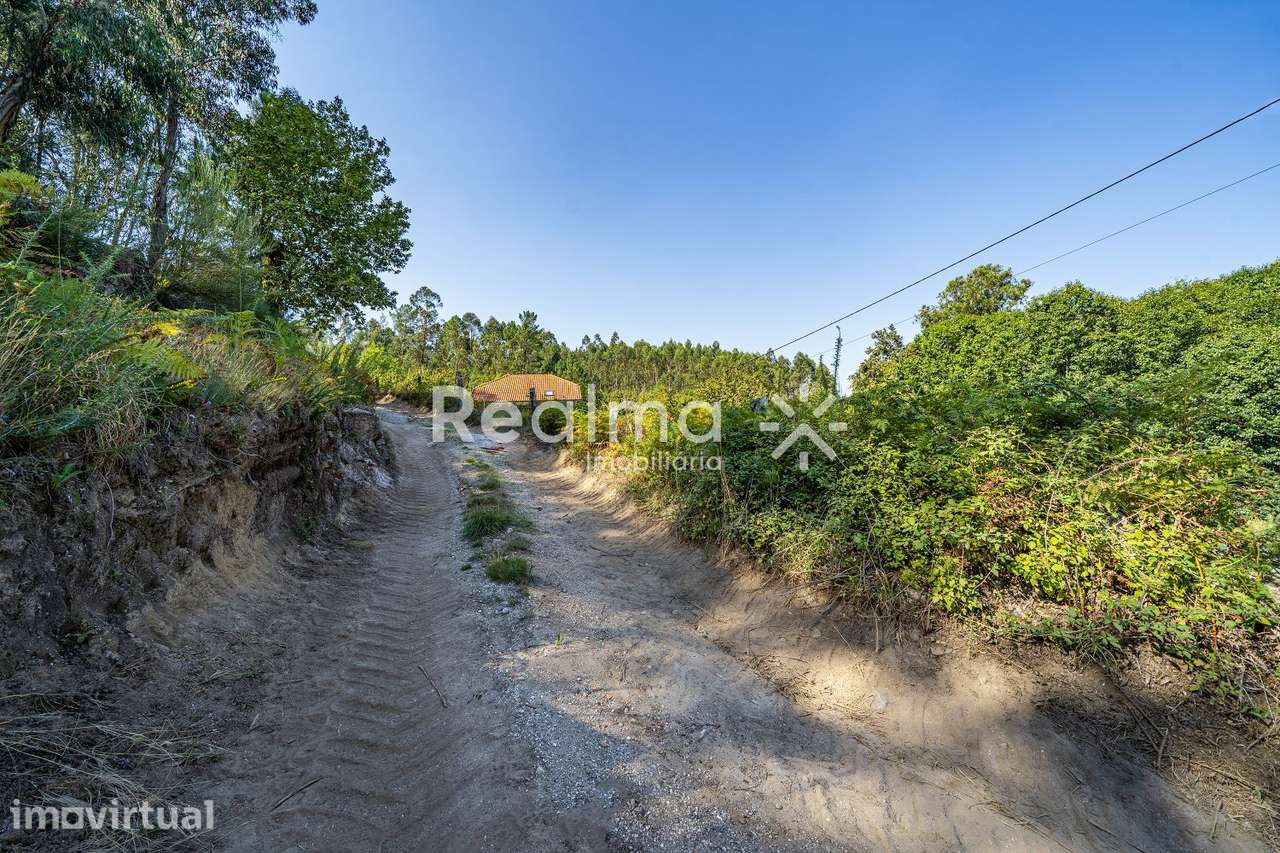 Terrenos Rústicos e Mina de Água – Póvoa de Lanhoso - Grande imagem: 5/15