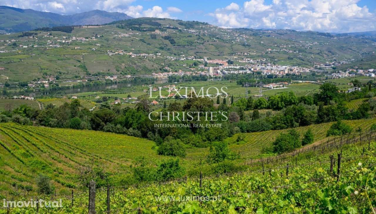 Quinta Vinícola à venda no Douro Valley em Cambres, Lamego, Portugal - Grande imagem: 5/35