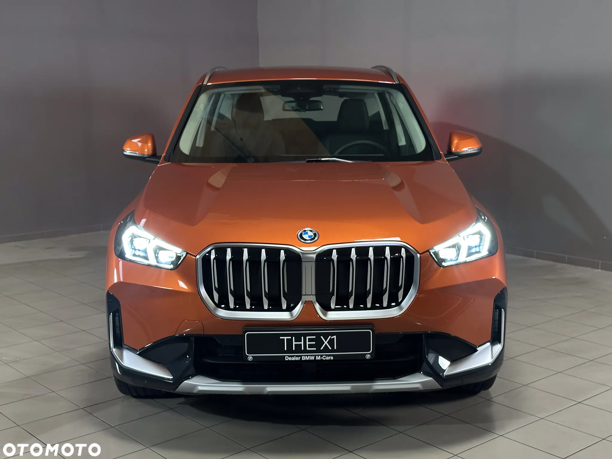 BMW X1 xDrive25e - 2