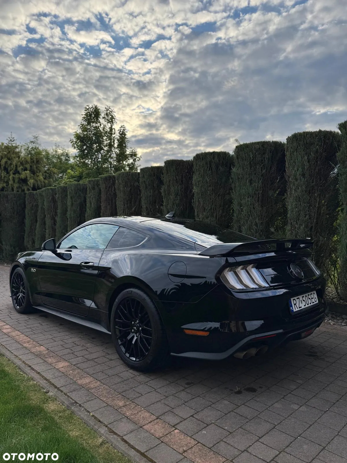 Ford Mustang 5.0 V8 GT - 2