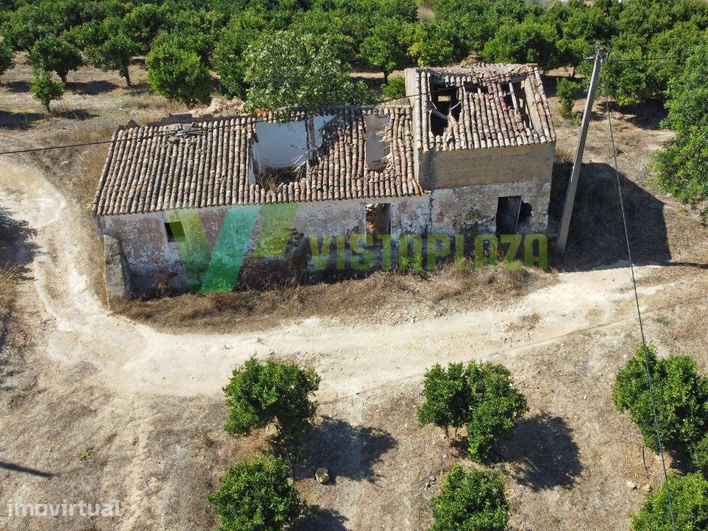 Propriedade Rural com 7 Hectares, Ruína e Citrinos Sobral/Algarve - Grande imagem: 2/22