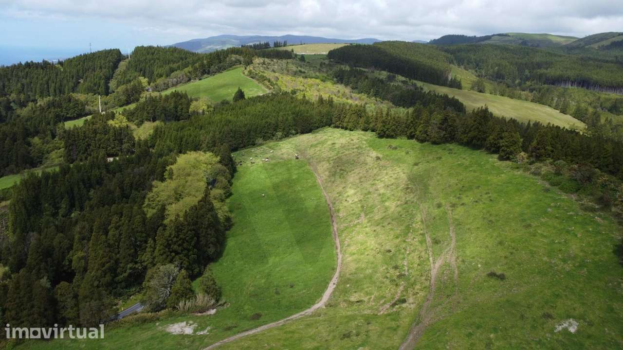 Terreno Rústico com 6,8 Hectares e Rendimento Imediato – Ponta Garça - Grande imagem: 2/9