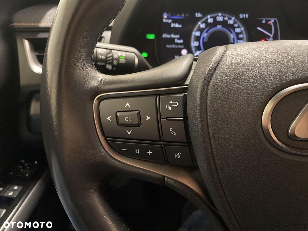 Lexus UX 250h GPF F Sport Design 2WD - 13