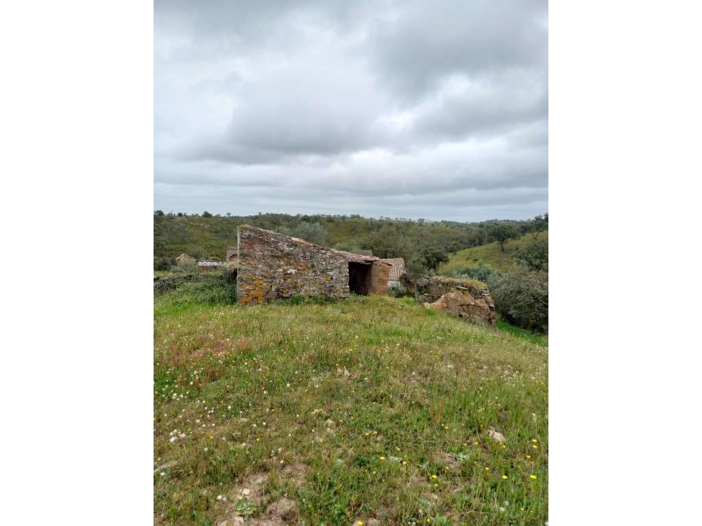 Terreno - Grândola - Grande imagem: 2/6