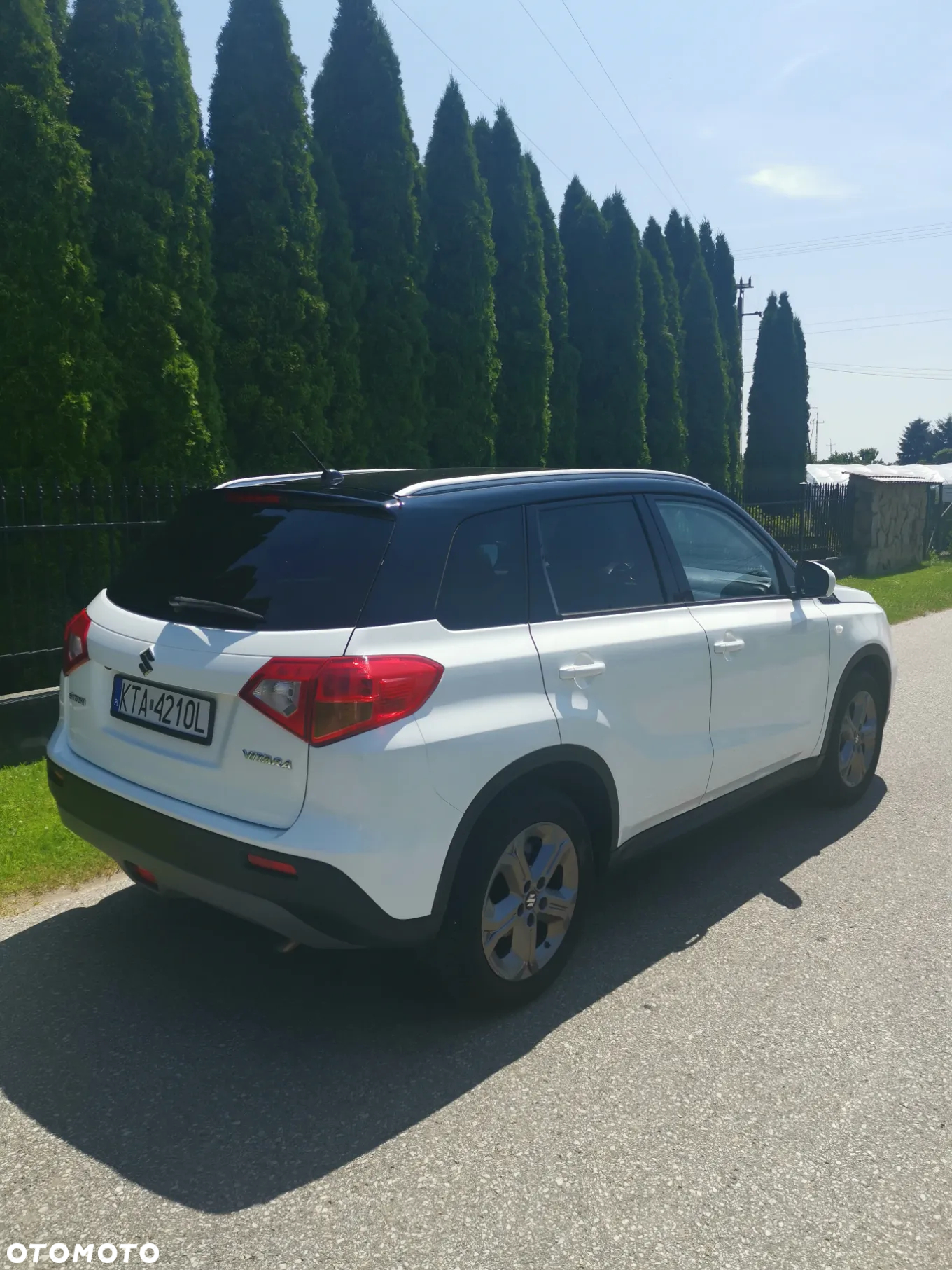 Suzuki Vitara - 12