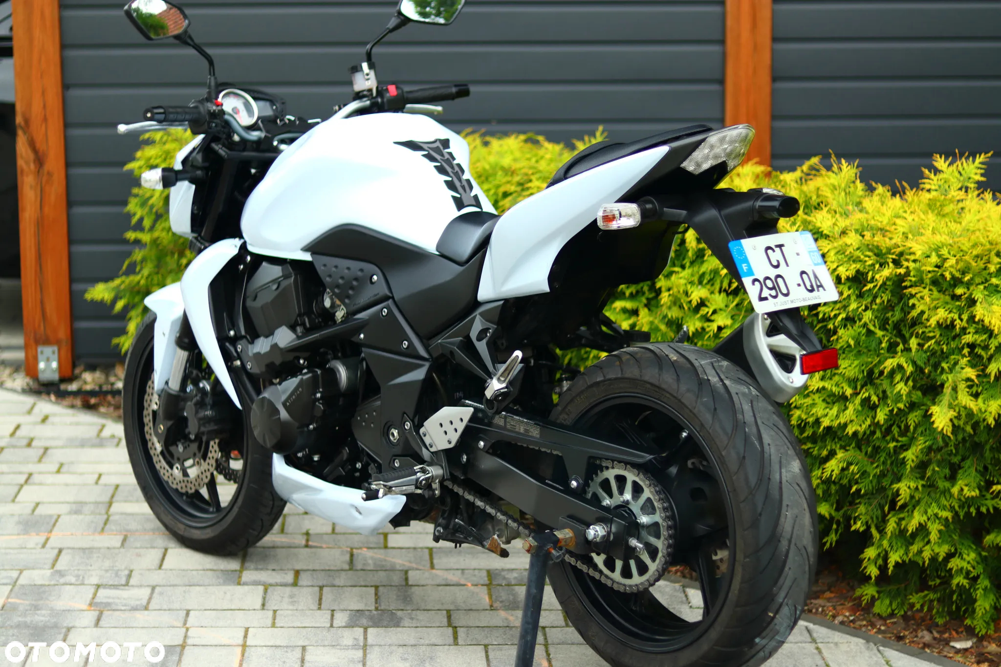 Kawasaki Z - 19