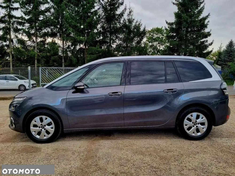 Citroën C4 SpaceTourer 1.5 BlueHDi Rip Curl S&S EAT8 - 8