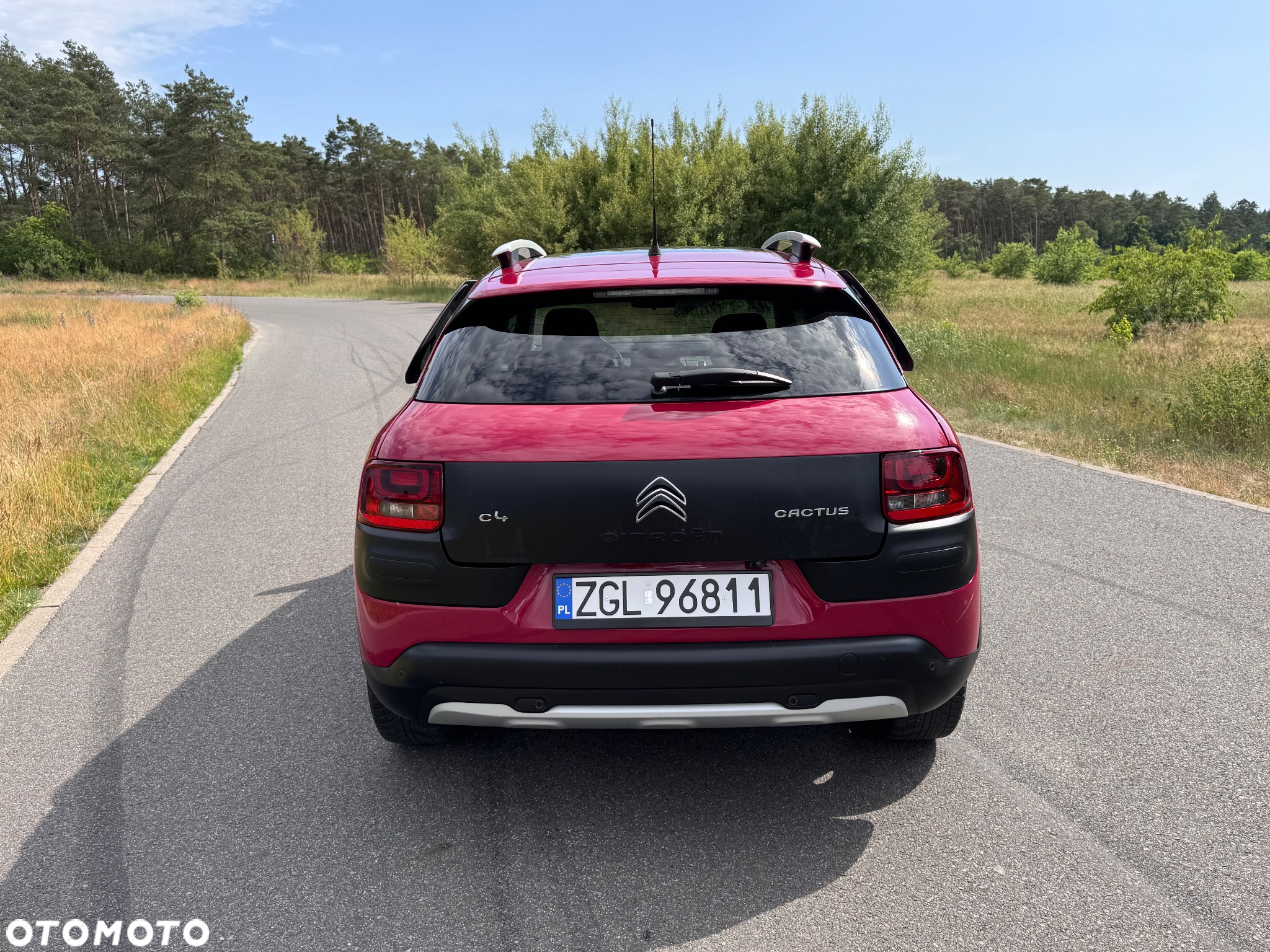 Citroën C4 Cactus 1.2 PureTech Rip Curl S&S - 4