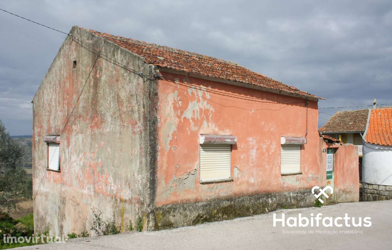 Moradia T3 - Seixo da Beira - Grande imagem: 3/15