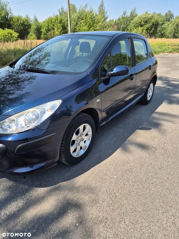 Peugeot 307 1.6 HDI Trendy - 2