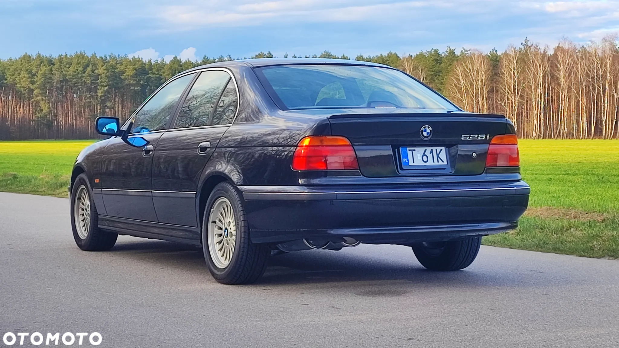 BMW Seria 5 - 6