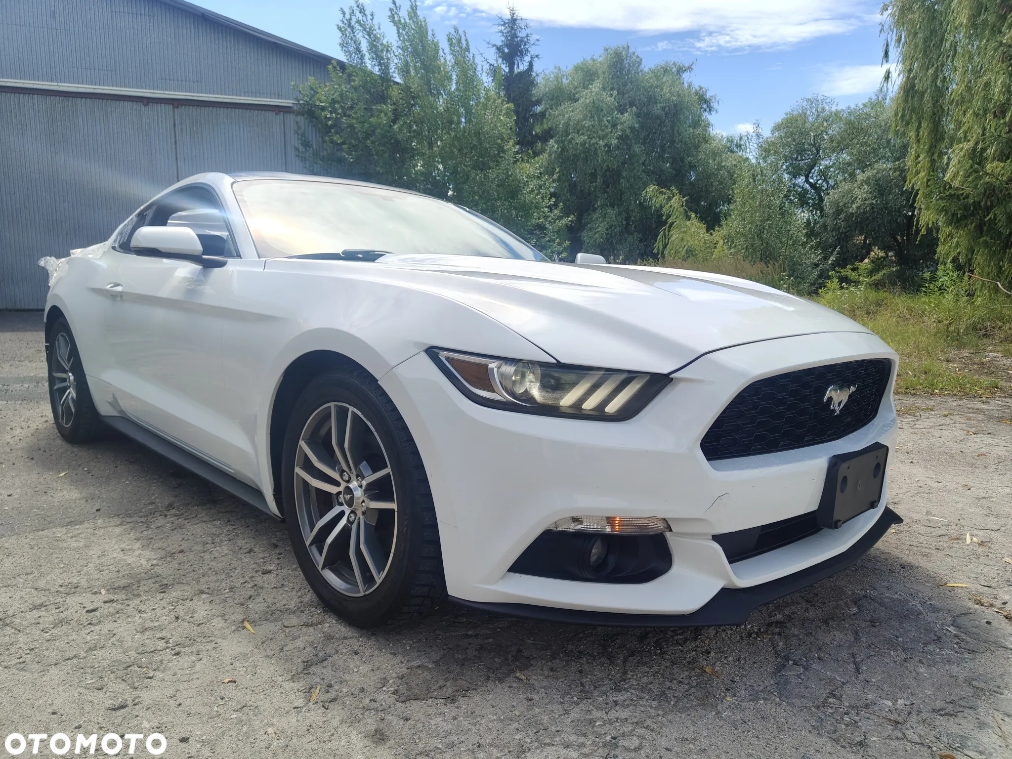 Ford Mustang 2.3 Eco Boost - 17