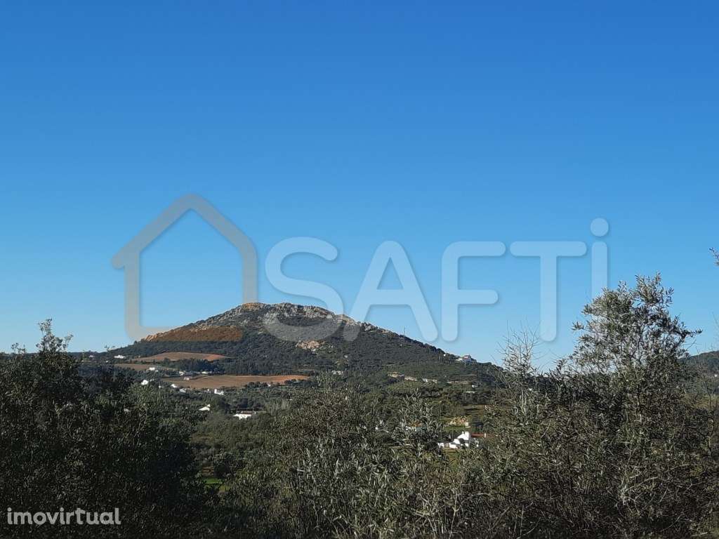 Quinta - Portalegre - Grande imagem: 2/26