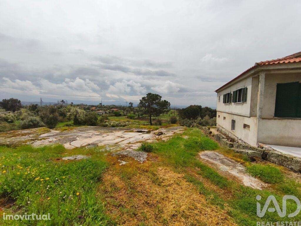 Casa de Campo T3 em Nelas de 6500,00 m2 - Grande imagem: 3/30