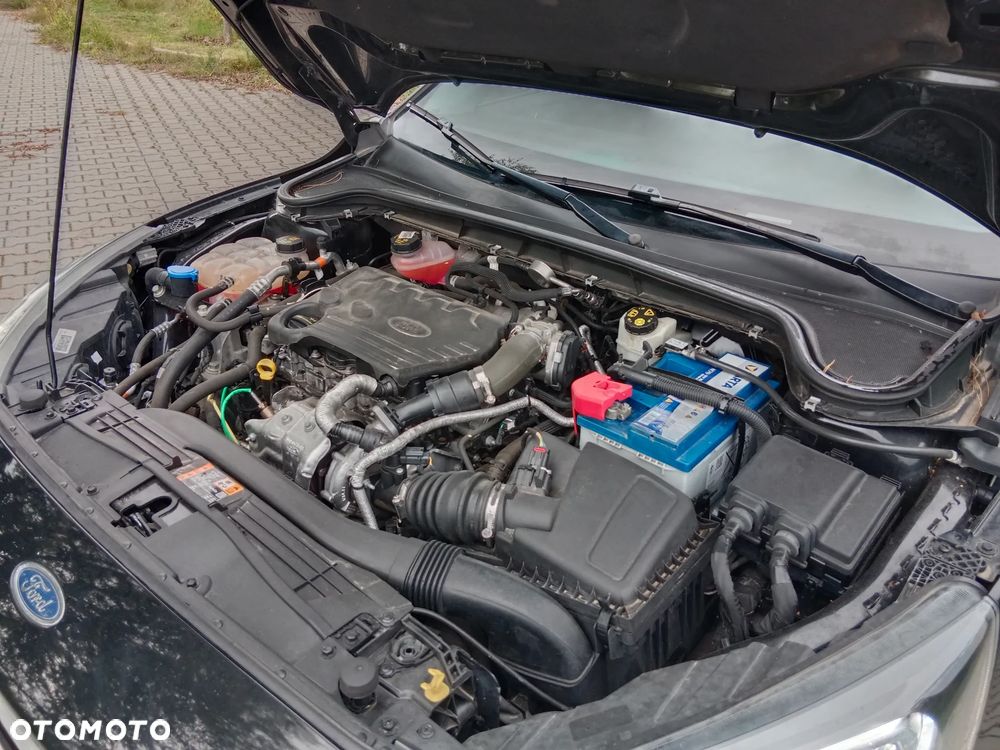 Ford Focus 1.5 TDCi DPF Start-Stopp-System Titanium - 19