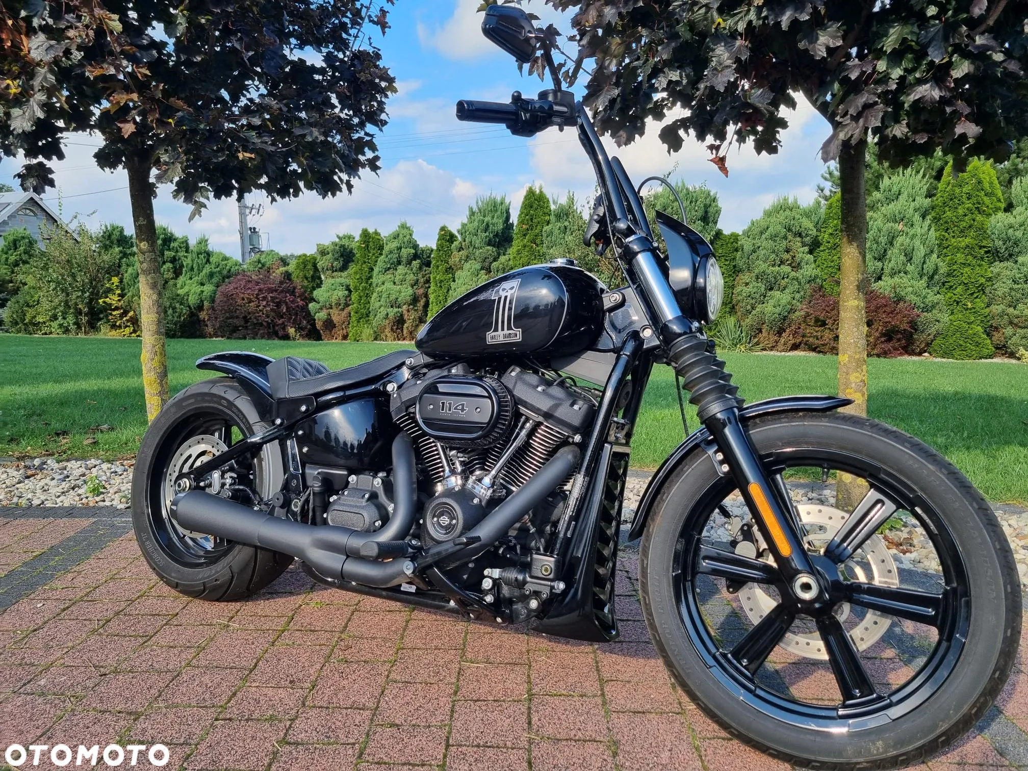 Harley-Davidson Softail Custom - 4