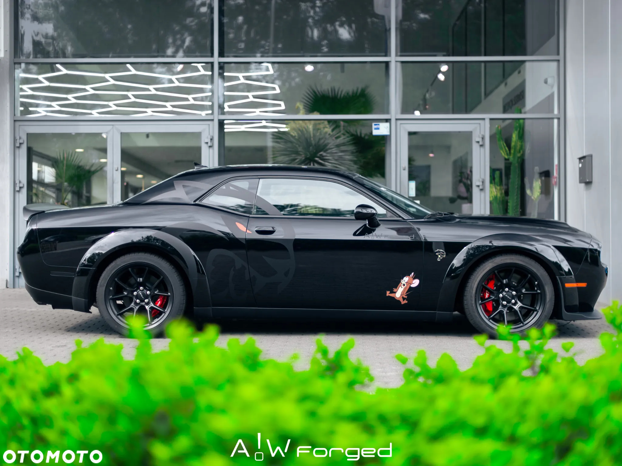 Dodge Challenger 6.2 Redeye Widebody - 7
