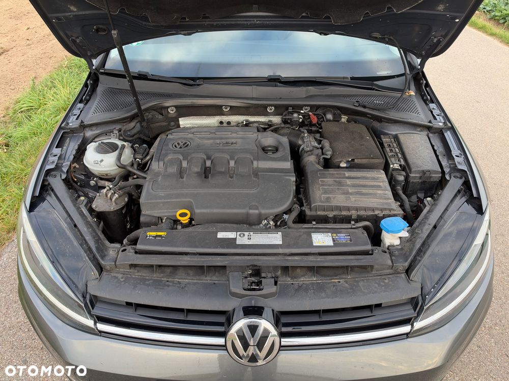 Volkswagen Golf - 26