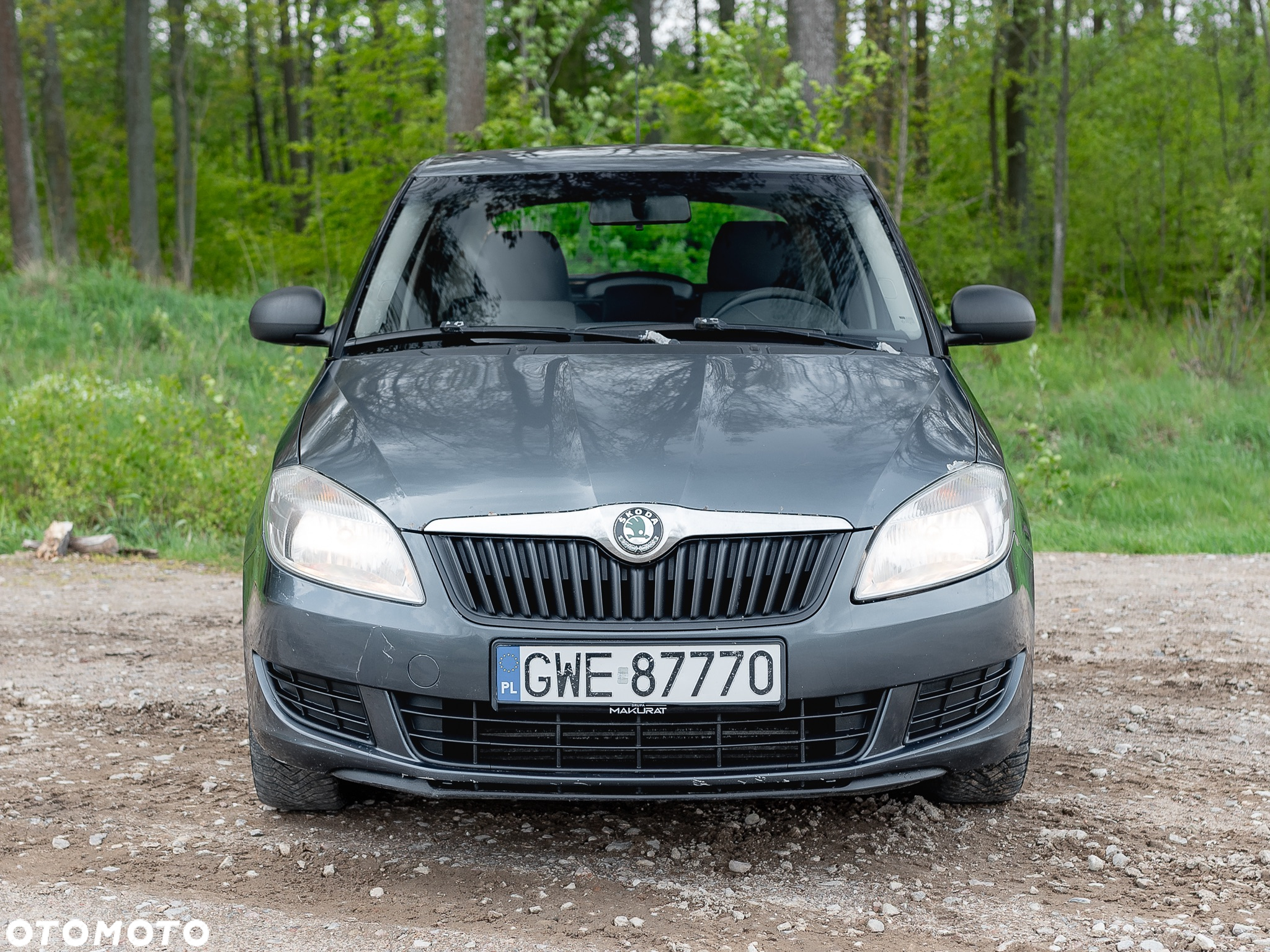Skoda Fabia 1.6 TDI DPF Ambition - 5