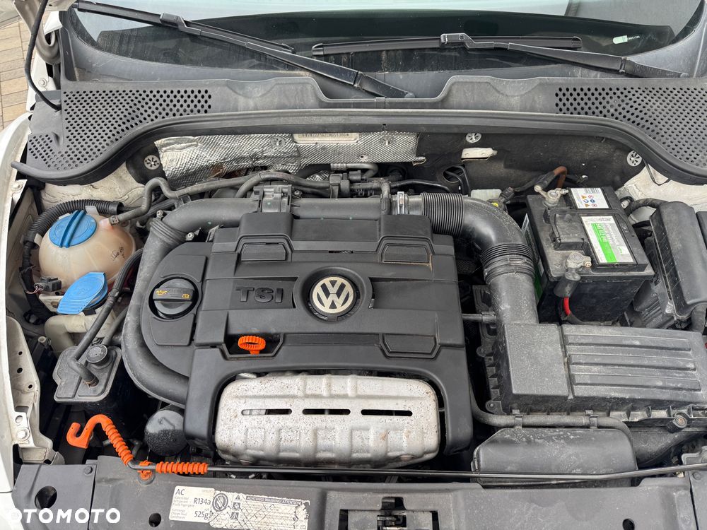 Volkswagen Beetle - 18