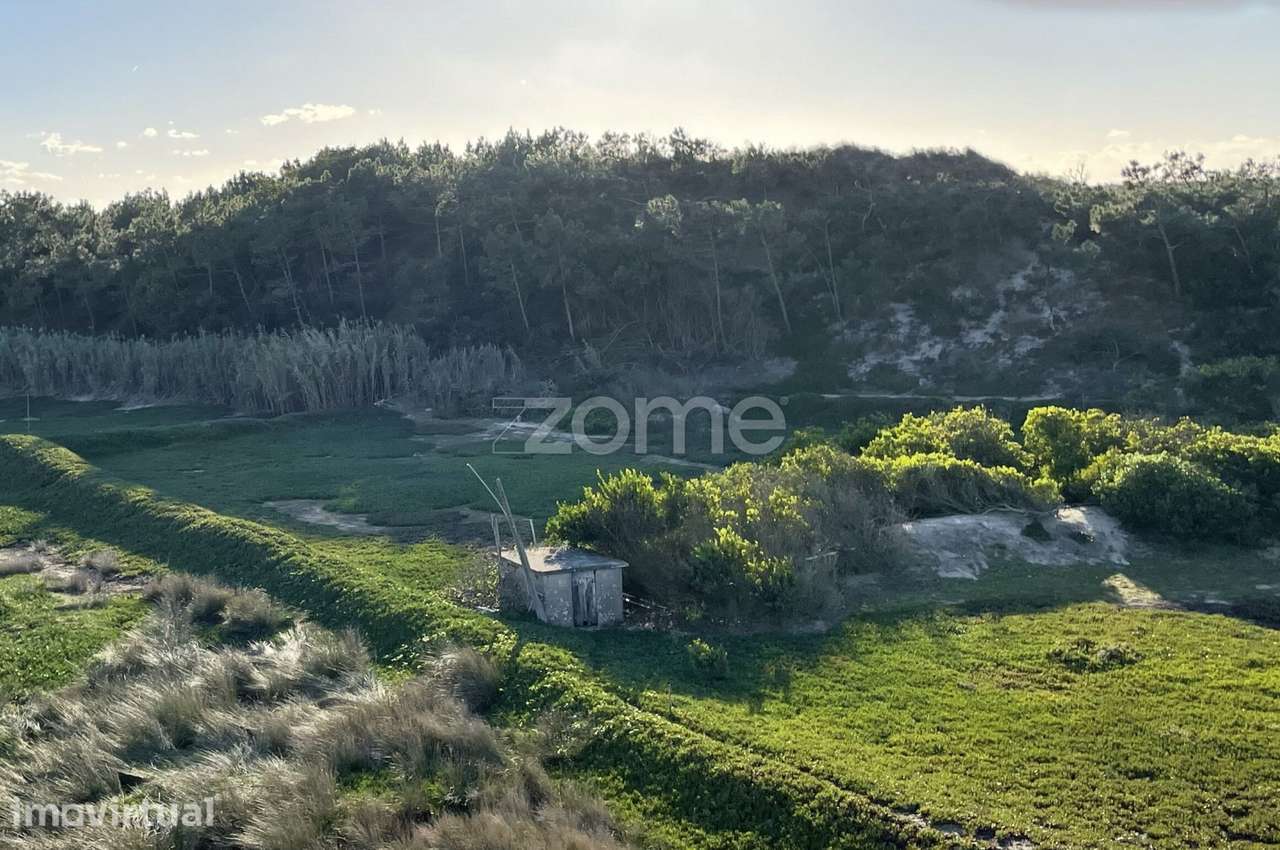 Terreno Agrícola junto à Praia de Belinho - Grande imagem: 2/19