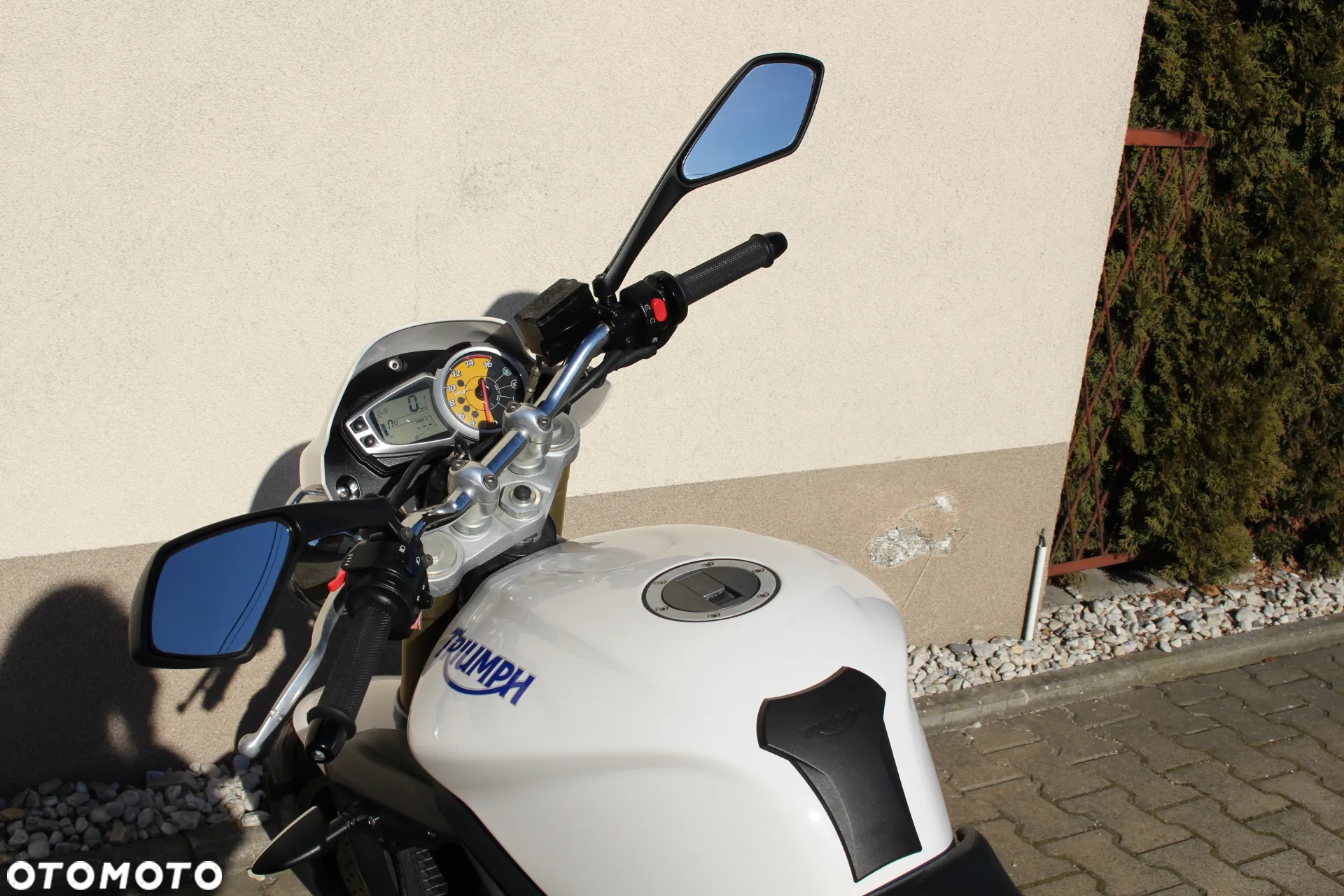 Triumph Speed Triple - 22