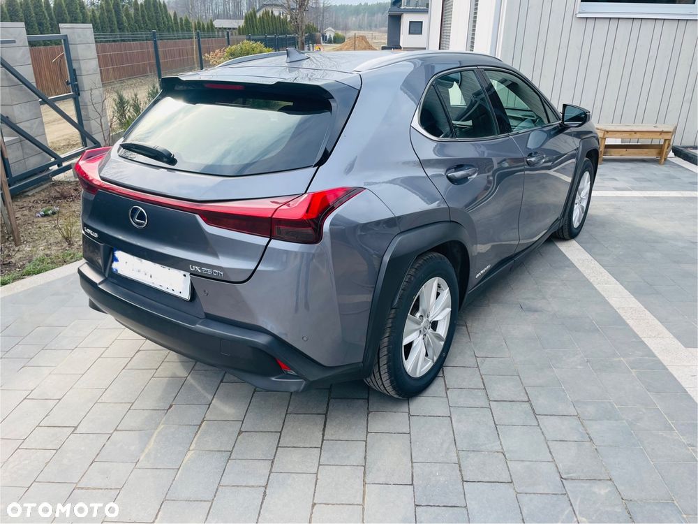 Lexus UX 250h GPF Elegance AWD - 11