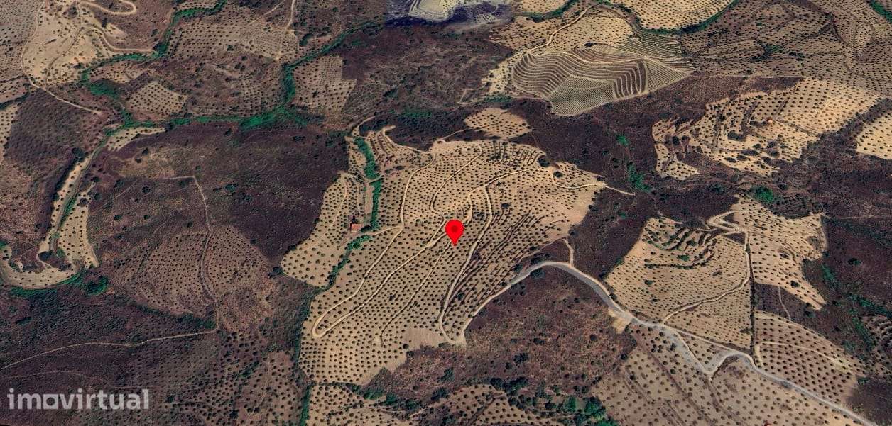 Terreno agrícola de 218.789 m² à venda - Grande imagem: 2/3