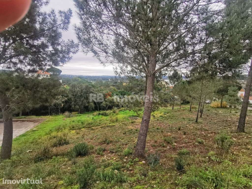 Lote de terreno urbano com 1098 m2 - Grande imagem: 3/6