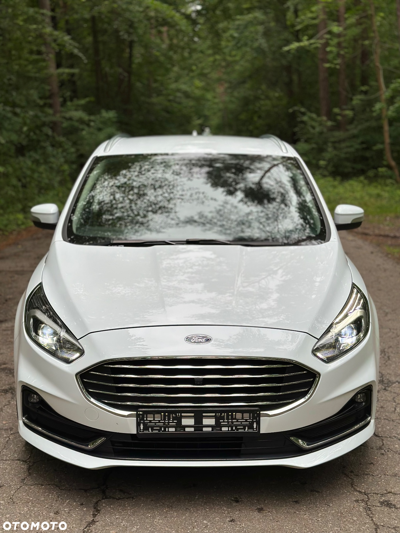 Ford S-Max 2.0 EcoBlue TITANIUM - 10