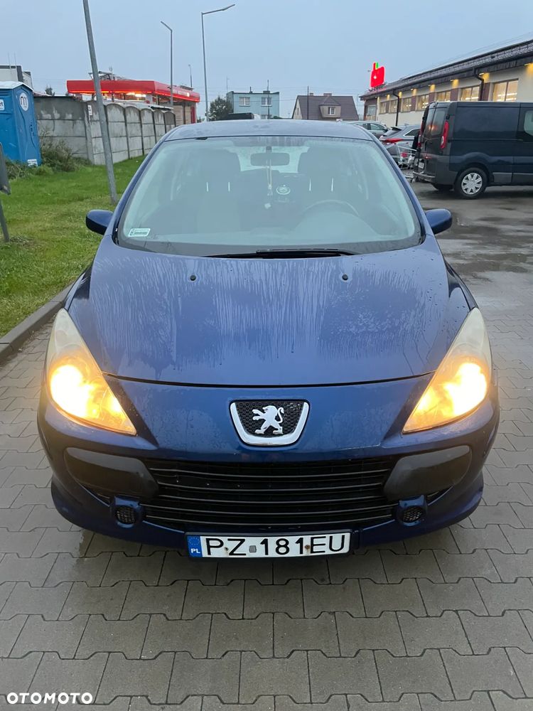 Peugeot 307 - 5
