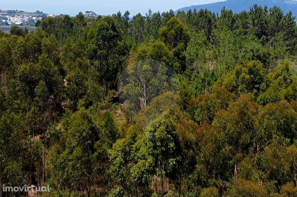 Terreno  para venda - Grande imagem: 3/14