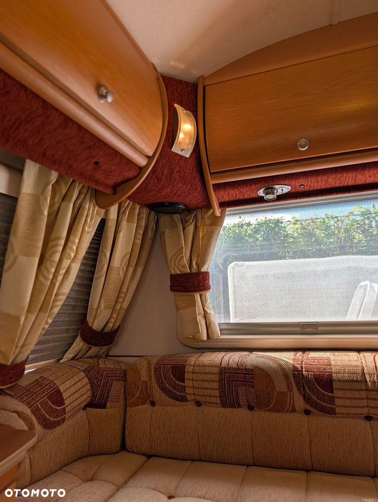 Avondale Golden Avocet - 30