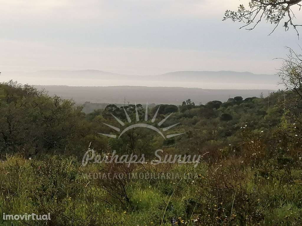 Terreno Misto Melides - Grande imagem: 2/23