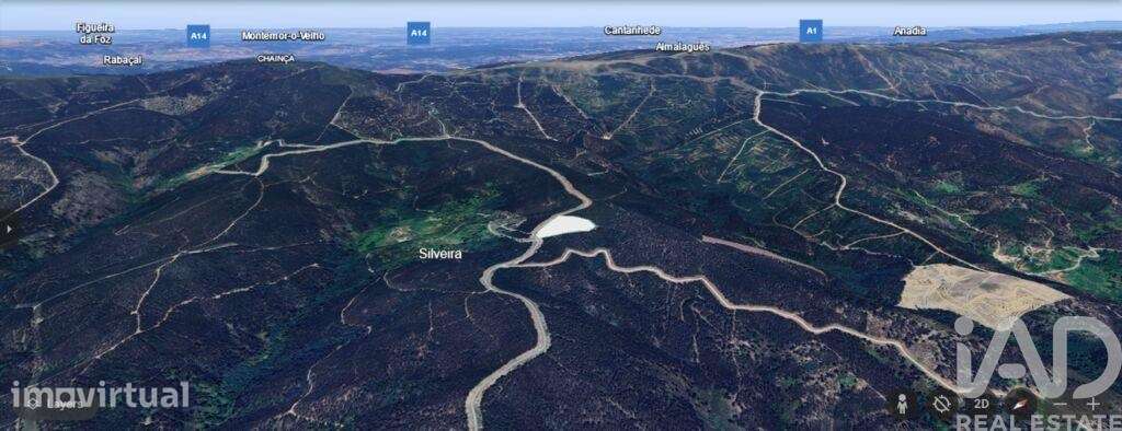 Terreno Agrícola em Espinhal de 10650,00 m2 - Grande imagem: 4/14