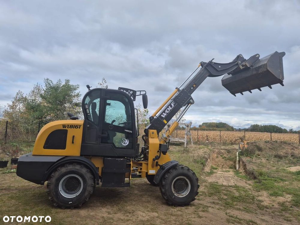 Inny WOLF WL816T - 1