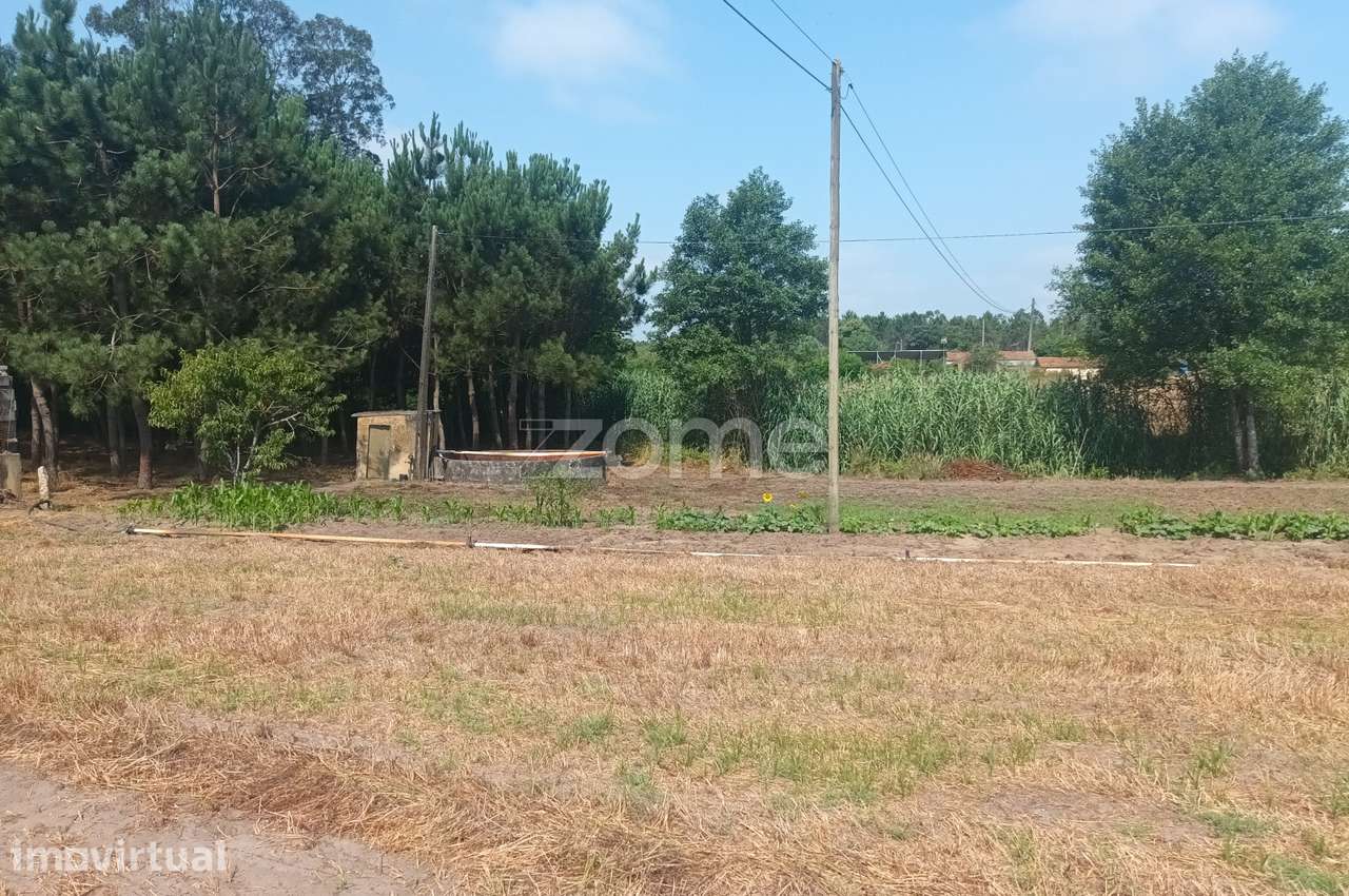 Terreno Agricola em Moita Vaqueira - Arazede - Grande imagem: 5/8