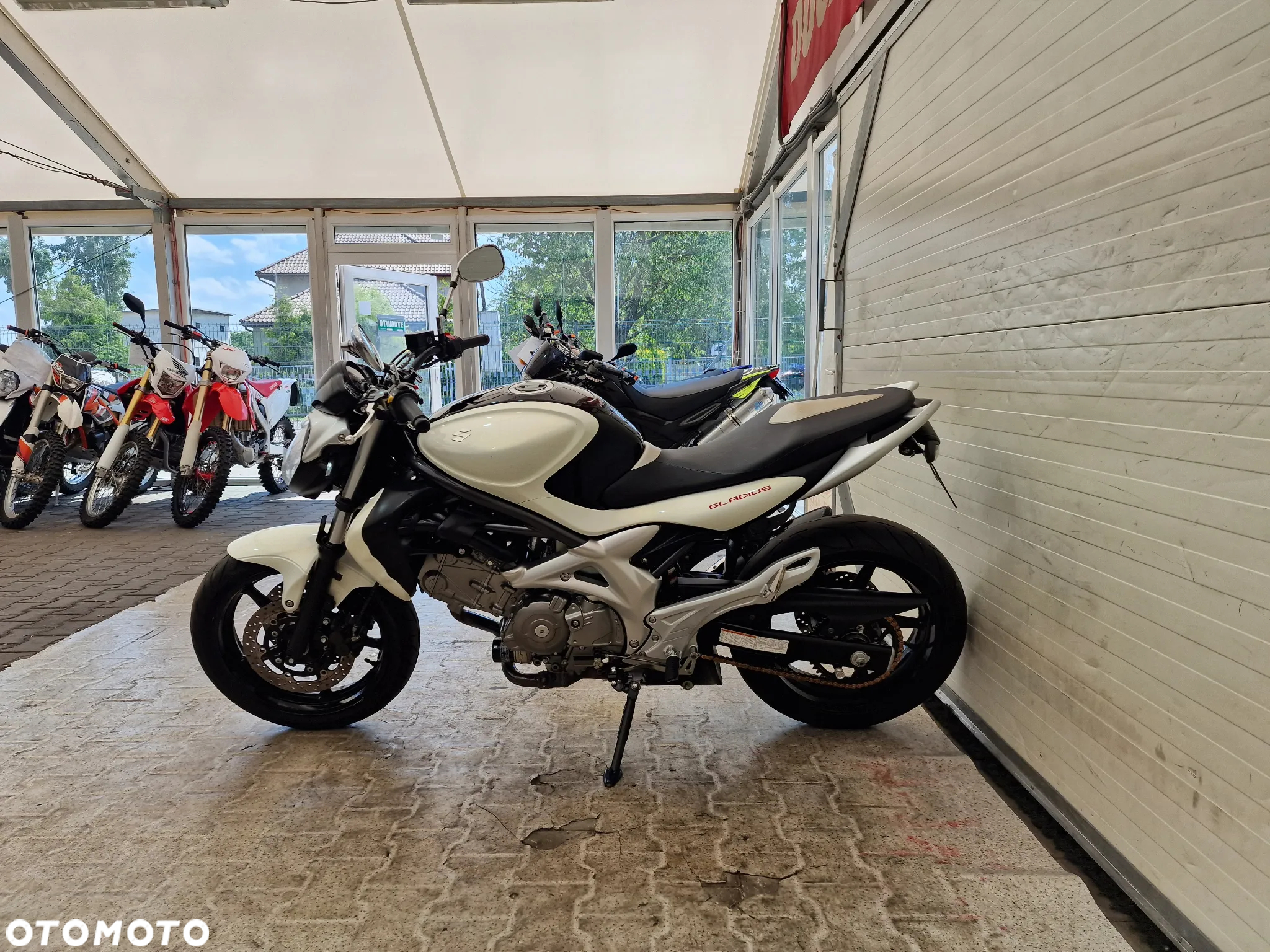 Suzuki Gladius - 21