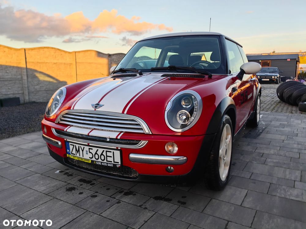 MINI Cooper chili - 6