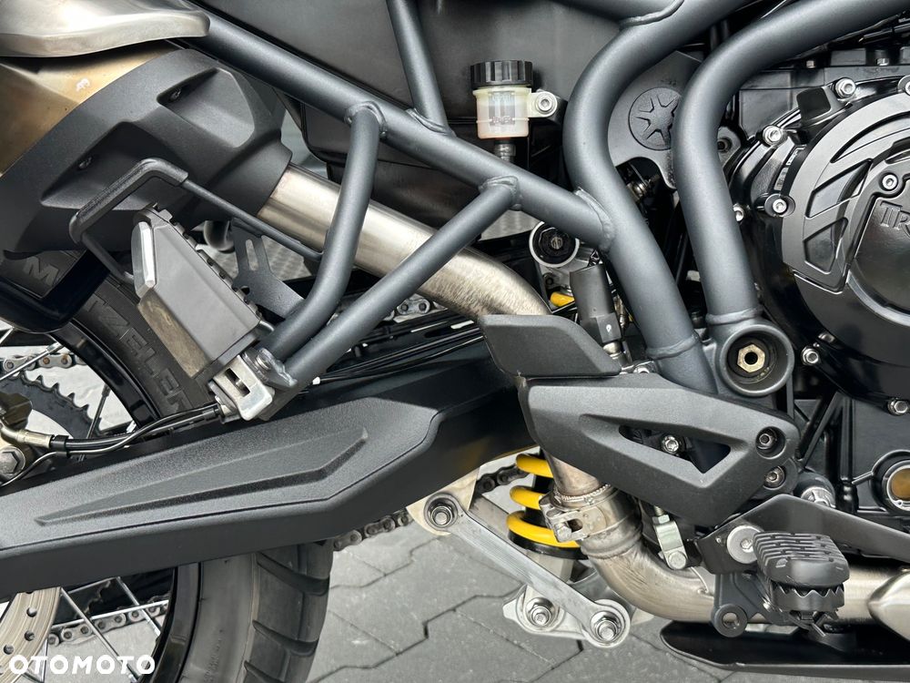 Triumph Tiger - 13