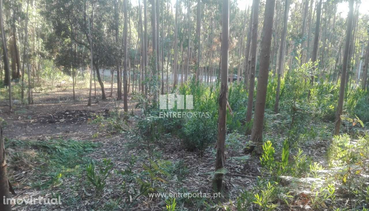 Terreno de construção para venda, Vilarelho, Caminha - Grande imagem: 3/6