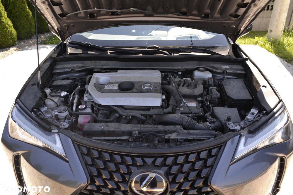 Lexus UX 250h Prestige 2WD - 5